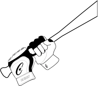 Freelance Work: Champion Sports