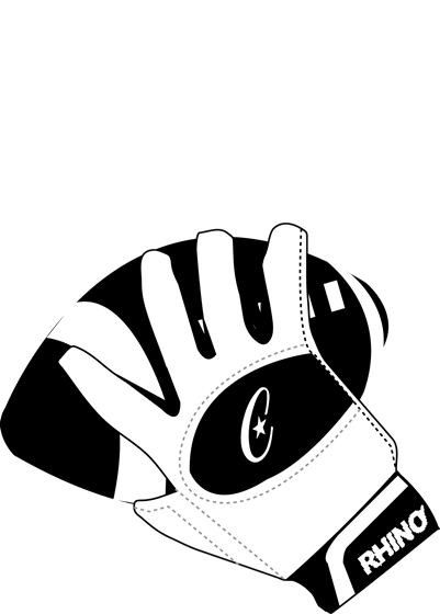 Freelance Work: Champion Sports