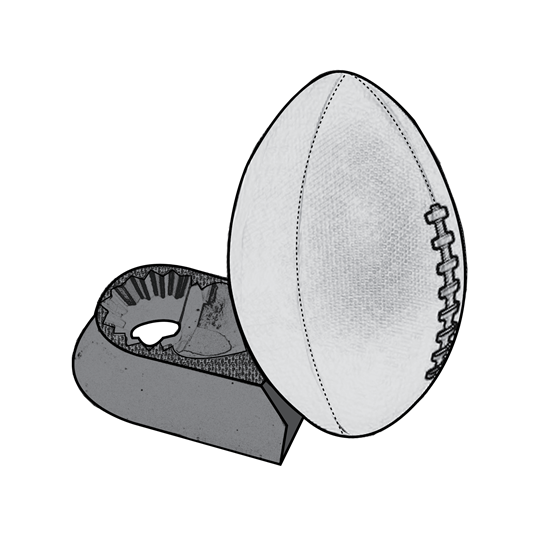 Freelance Work: Champion Sports