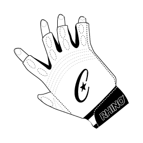 Freelance Work: Champion Sports